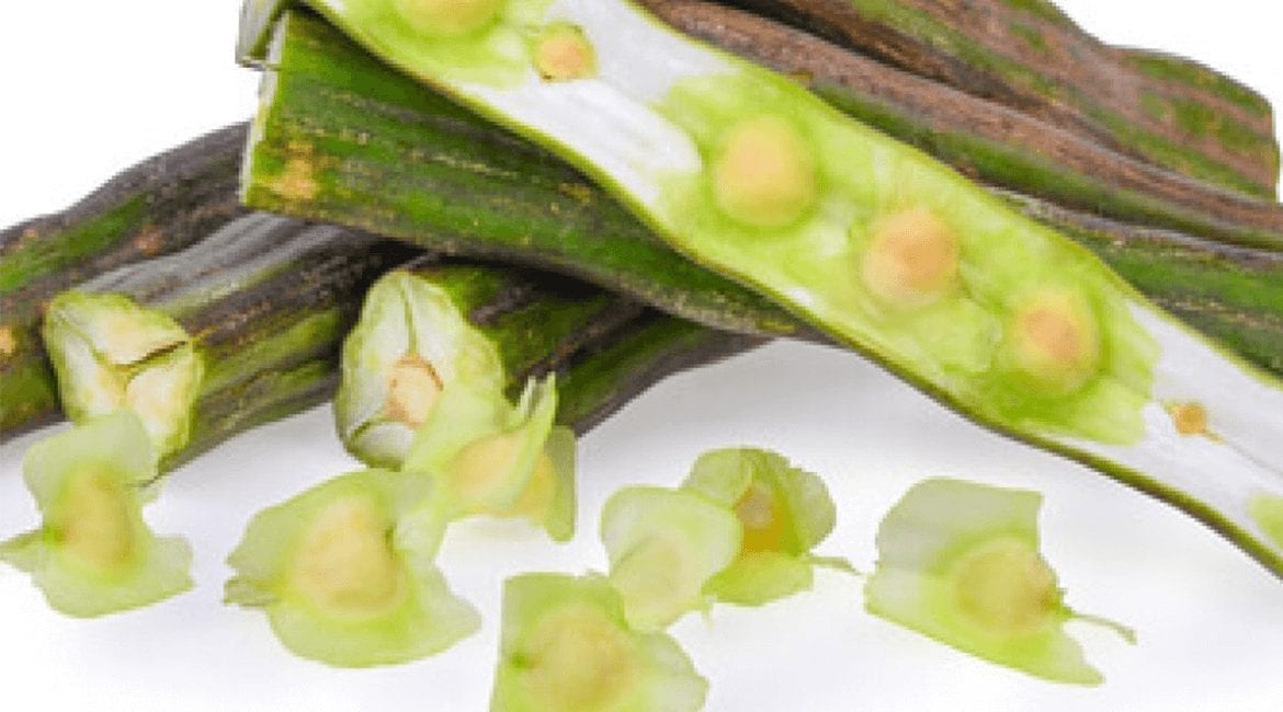 Moringa Seeds