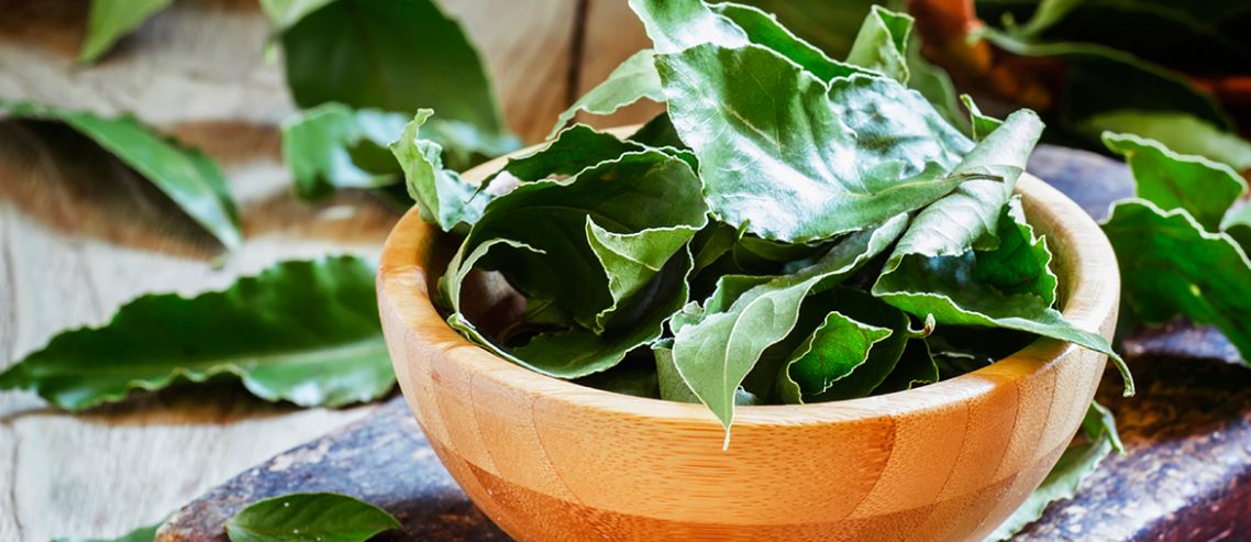 Top 15 Bay Leaf Benefits For Skin, Hair, And Health