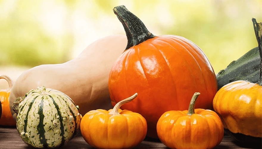 11 Health Benefits of Squash – Another Superfood for Summer