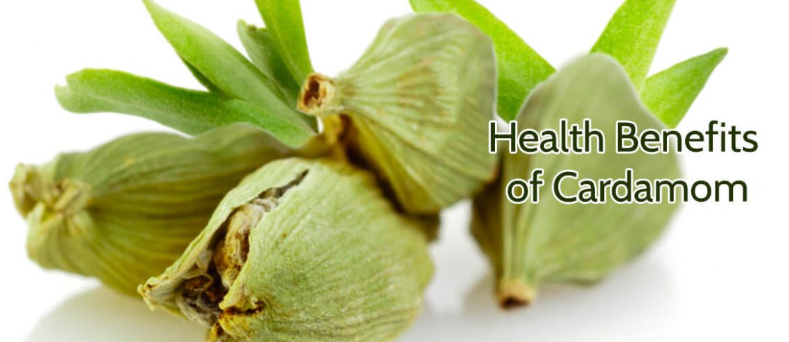 Health Benefits of Cardamom